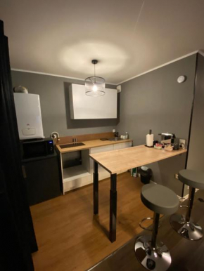 Appartement Saint Quentin en Yvelines Netflix wifi